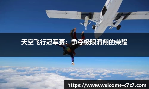 天空飞行冠军赛：争夺极限滑翔的荣耀